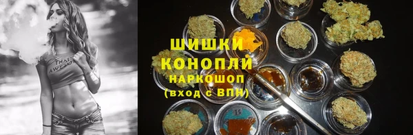 винт Долгопрудный