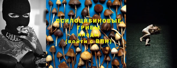 ALPHA-PVP Армянск