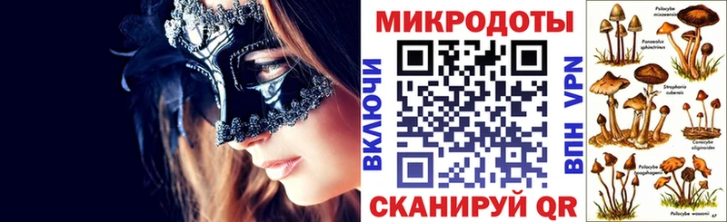 Псилоцибиновые грибы Psilocybe  Белый 