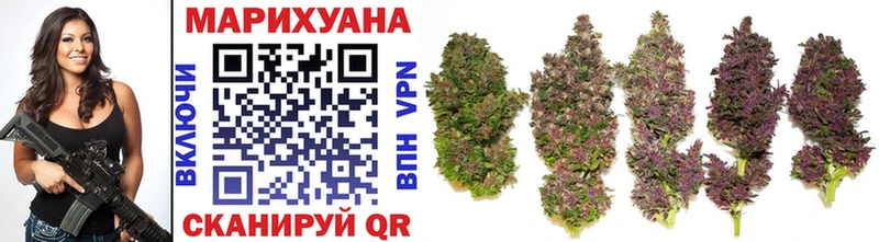 купить наркотик Белый Бошки Шишки SATIVA & INDICA